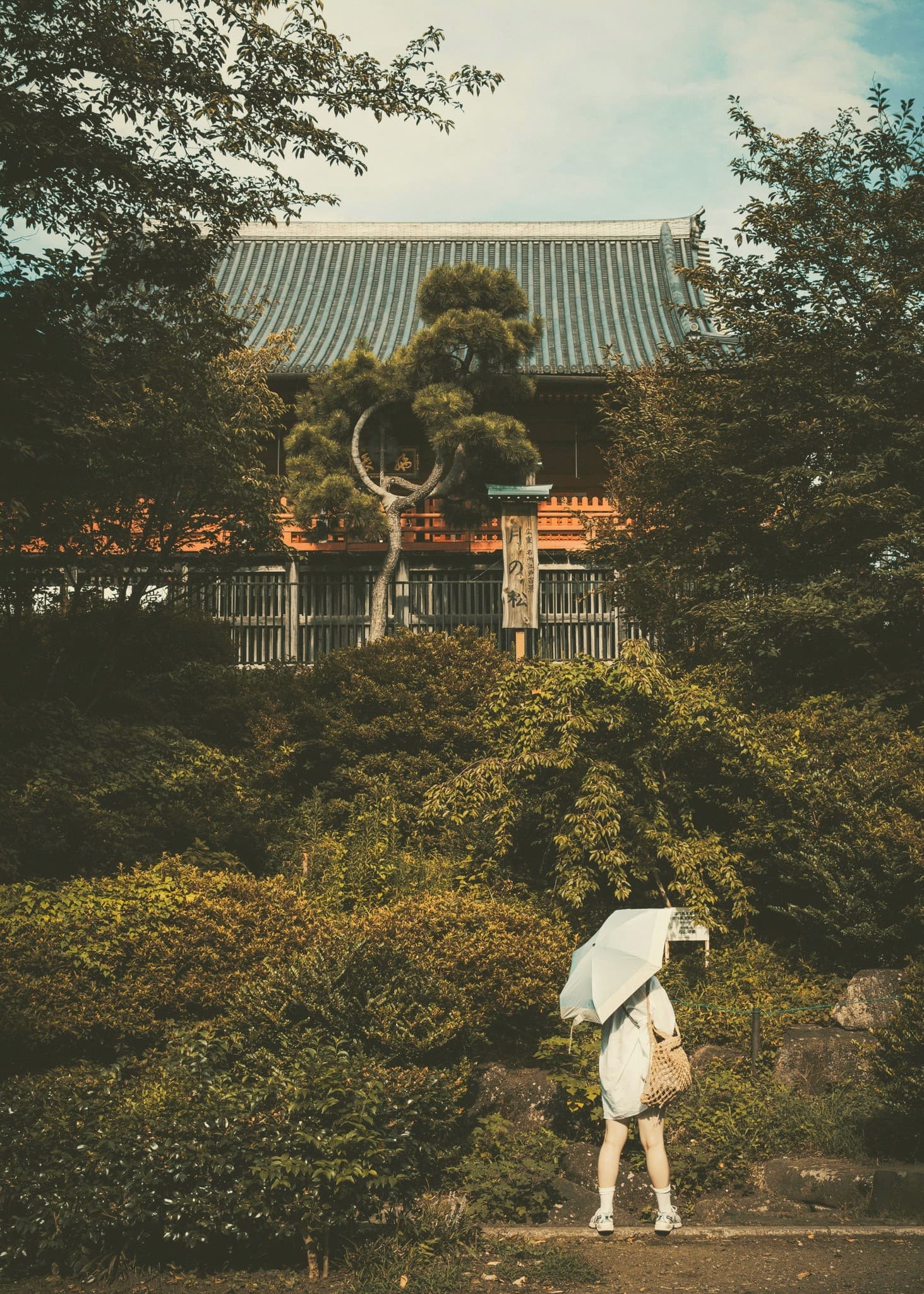 Moody Image of Ueno Park