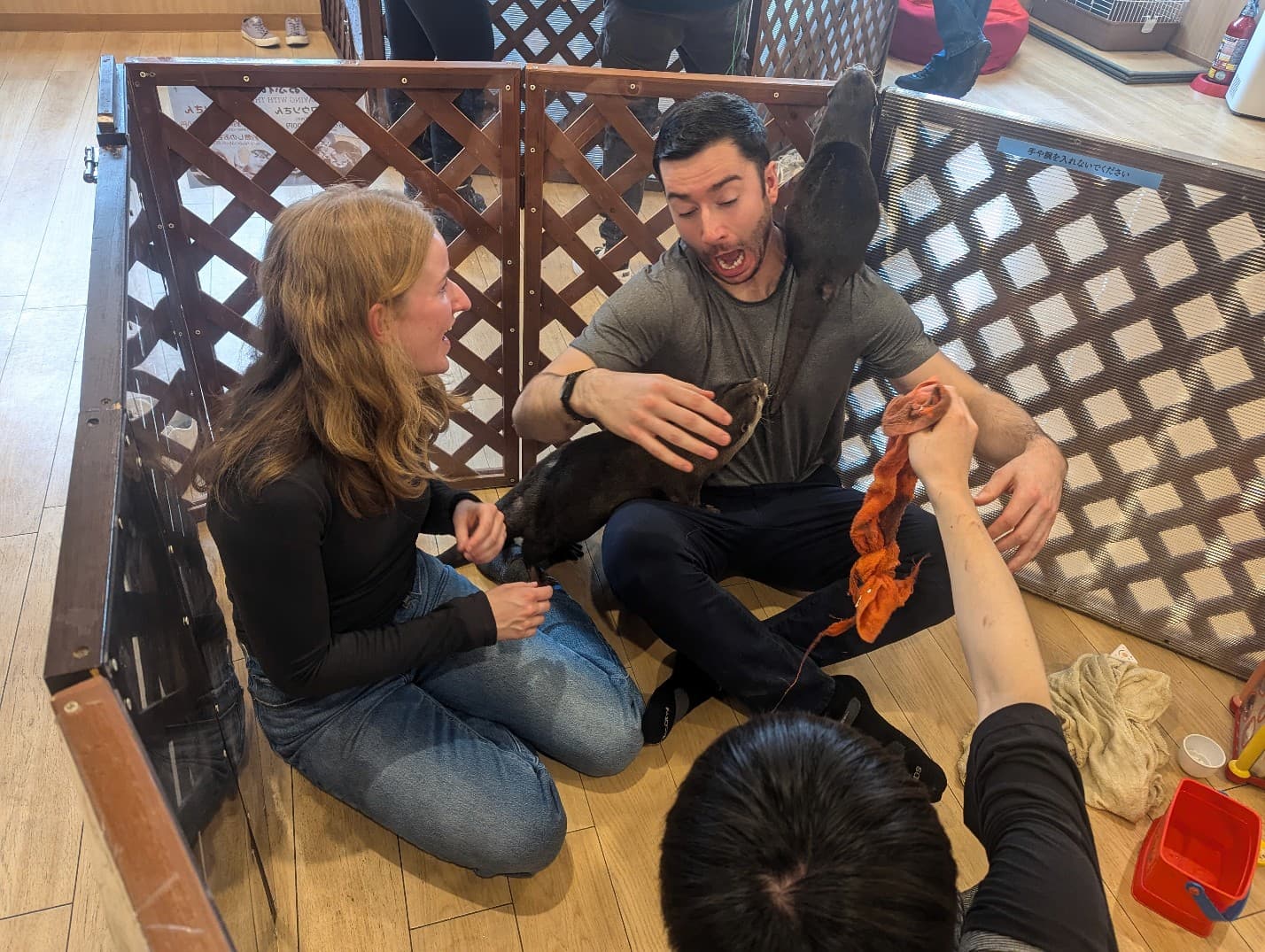 Hinomaru One Infinite Tokyo Tour Guests Playing with Animals