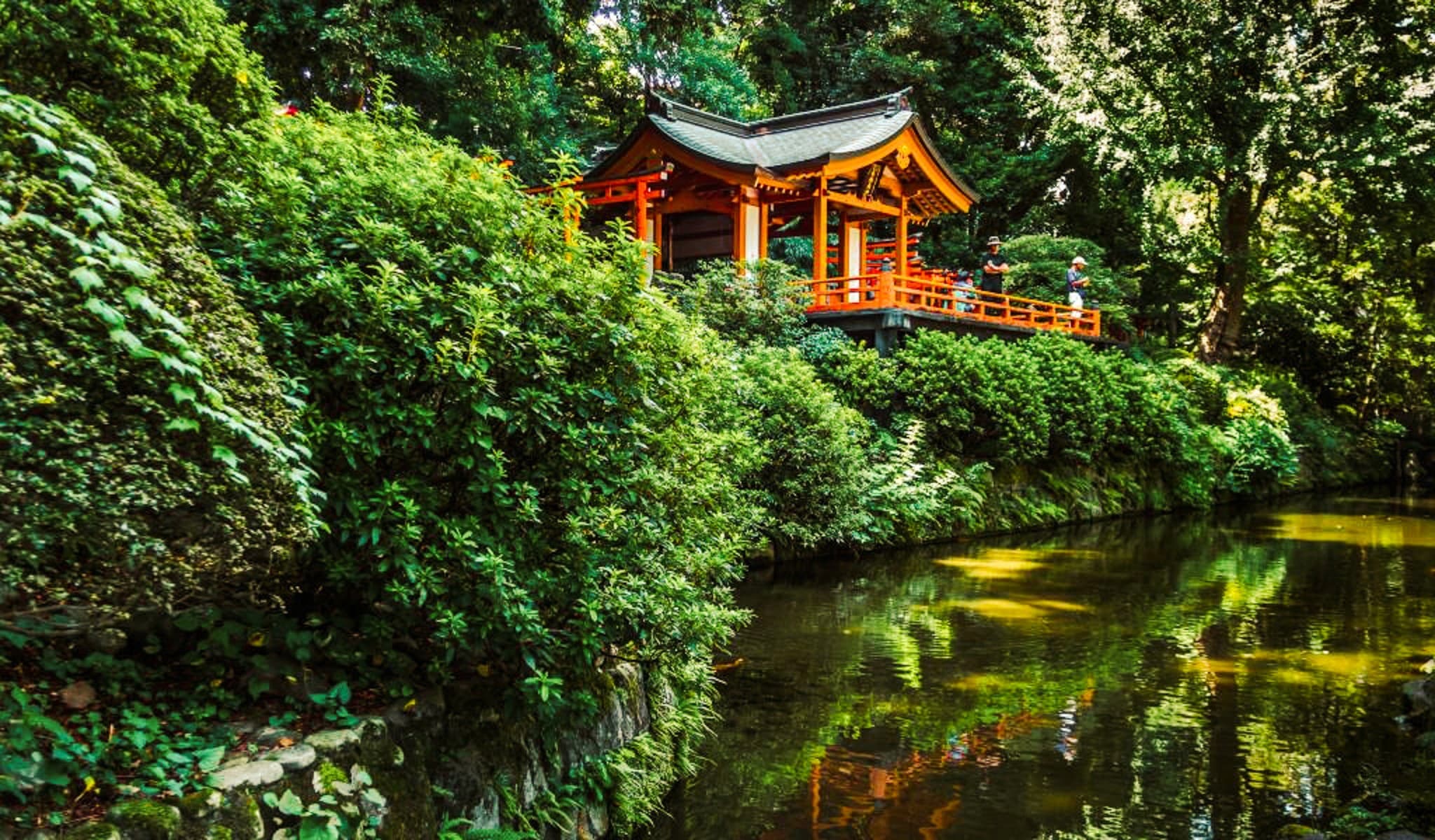 Bright Red Nezu Shrine Contrasting to the Green Surrounding Areas