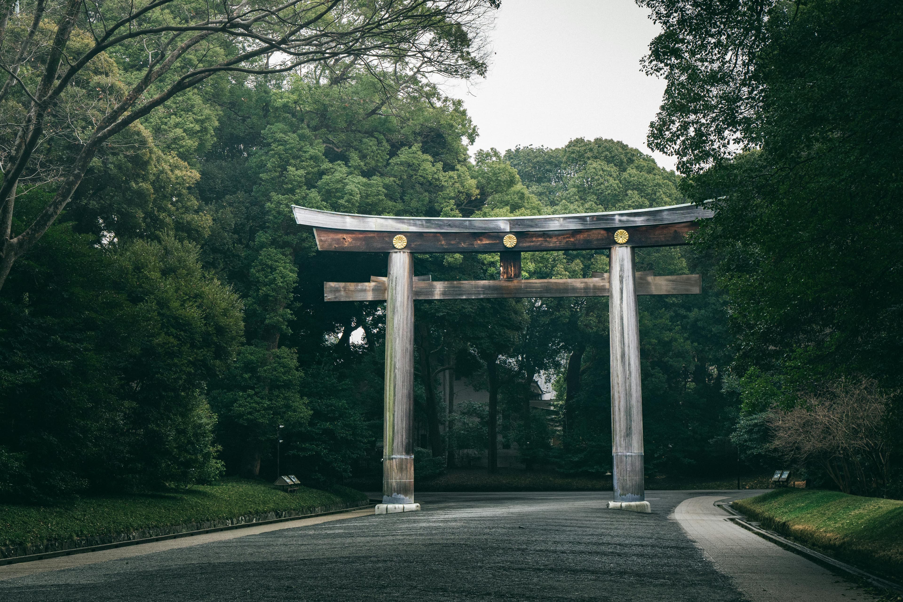 Torii at Entrance of Meiji Jingu Forest