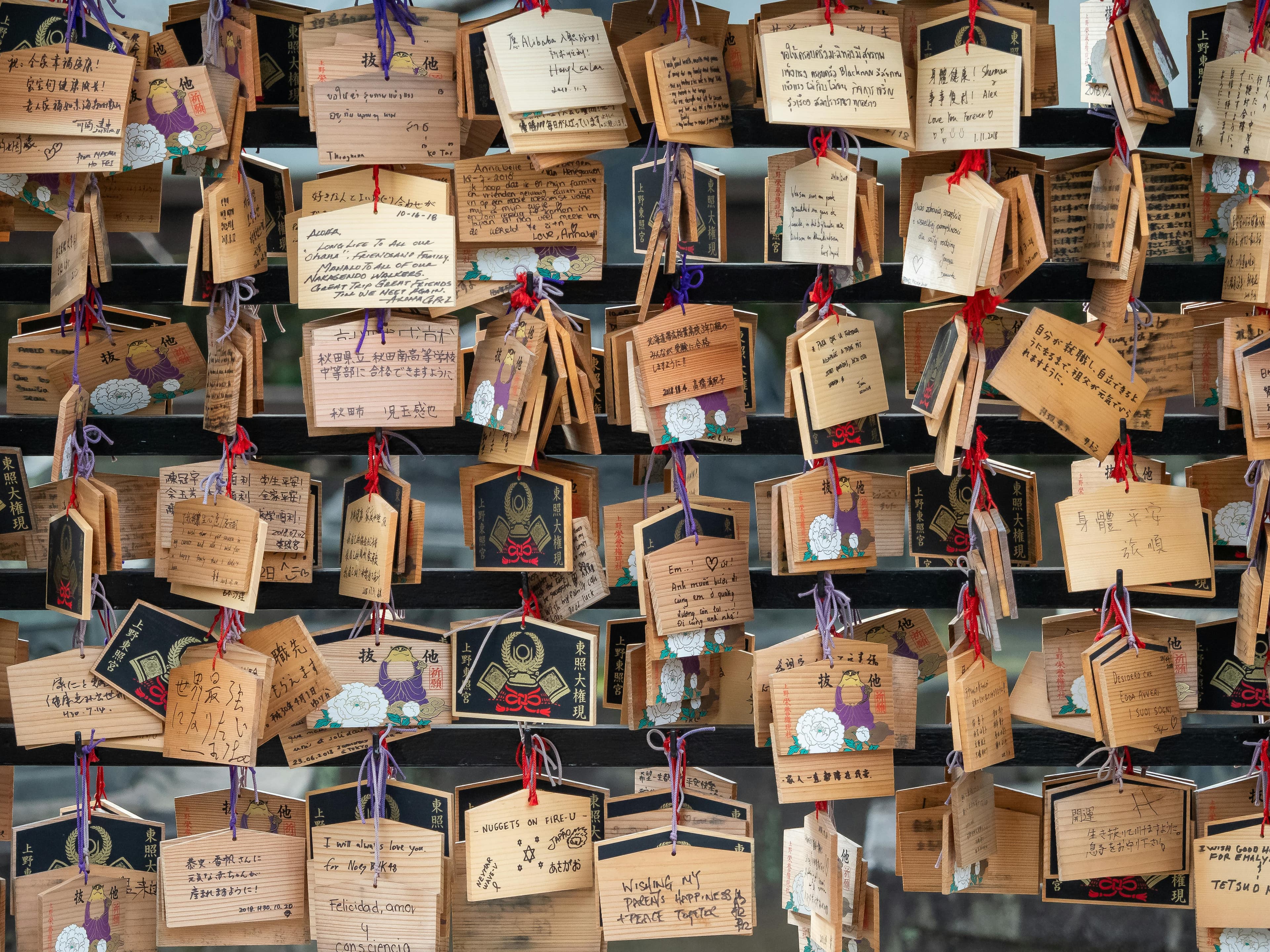 Collection of Ema Plaques Outside of Toshogu Shrine in Ueno