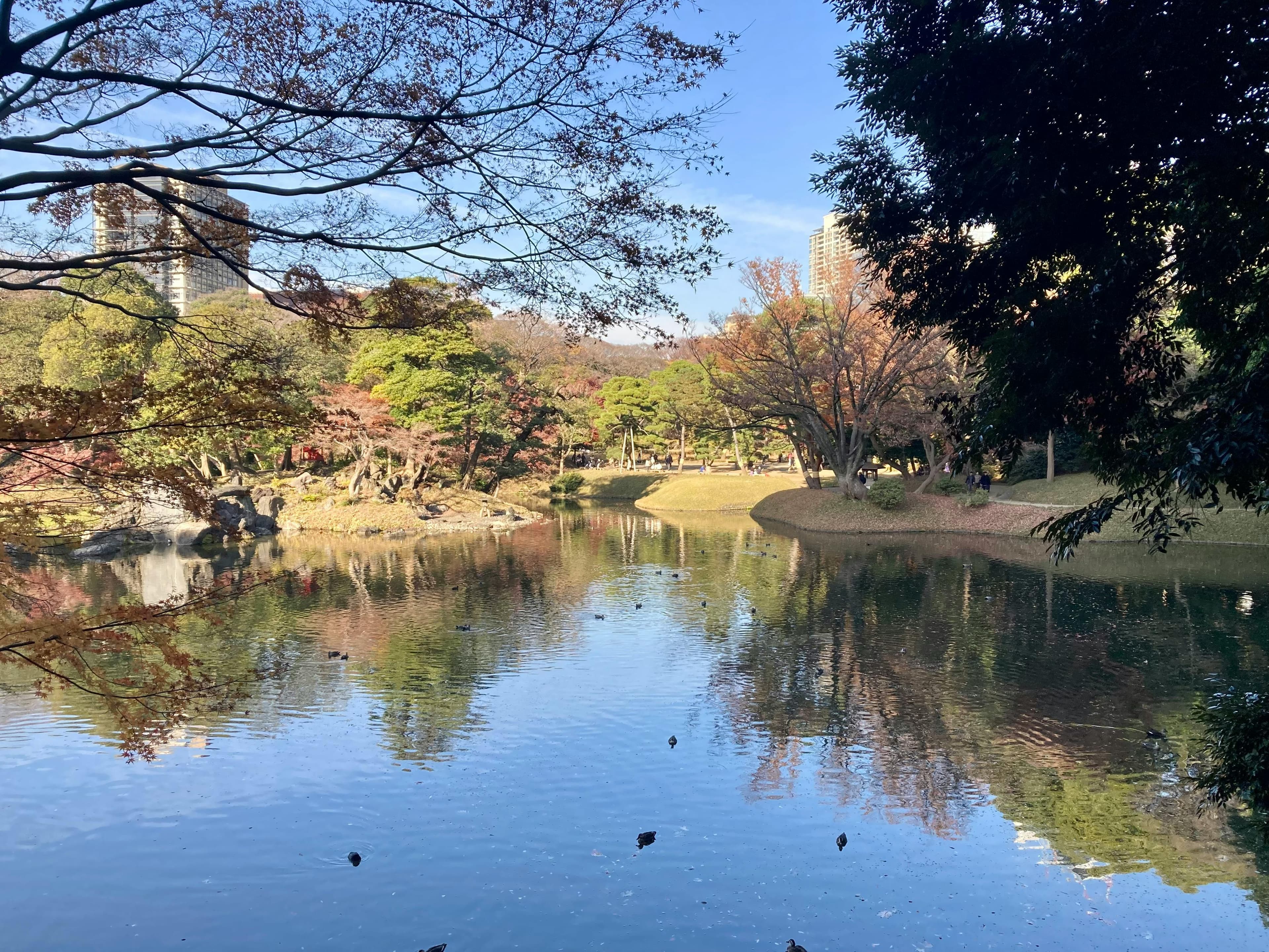 Tokyo Autumn Foliage Guide: Timing, Spots, and Planning