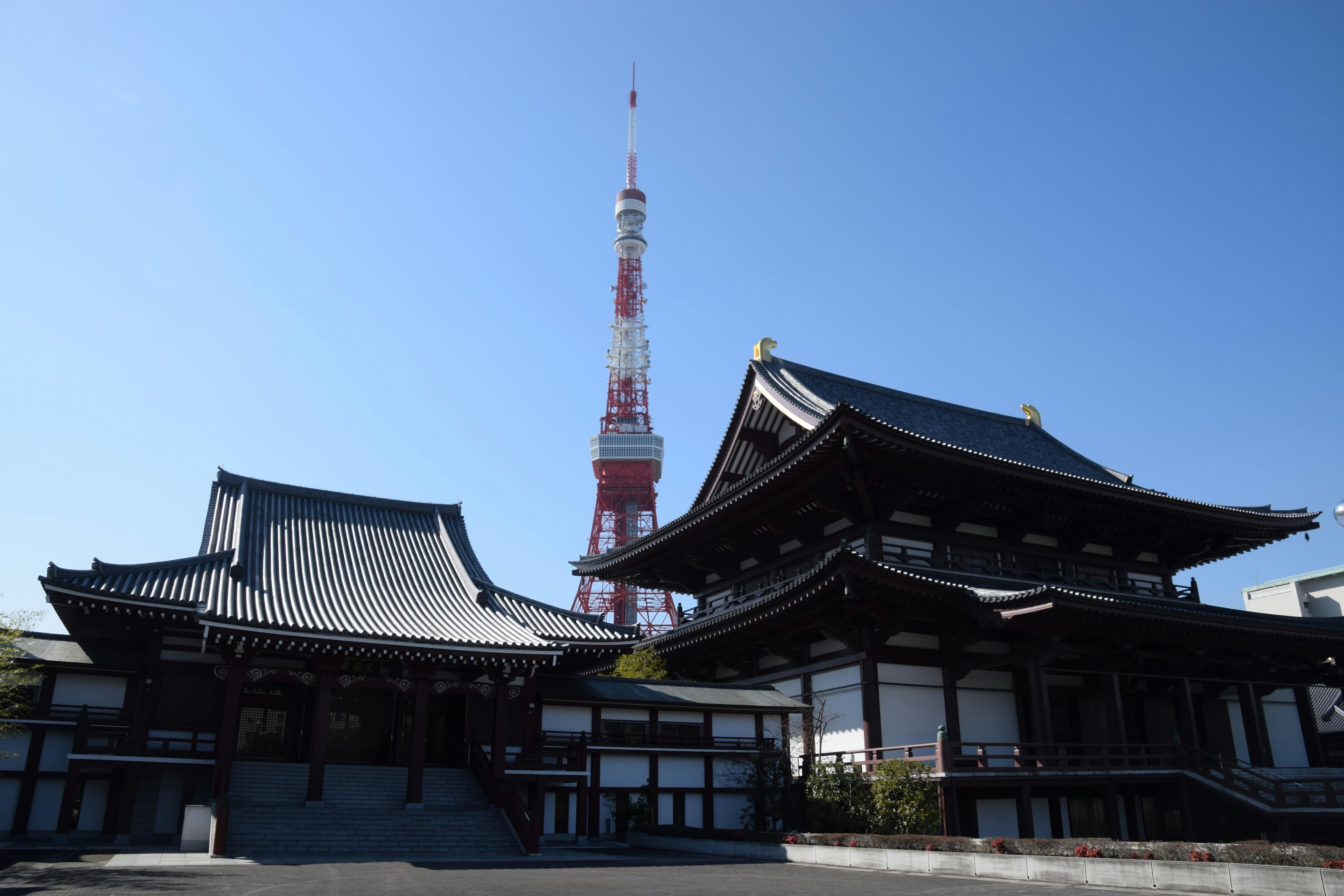 Best Tokyo Private Tours: 4 Formats, Different Purposes