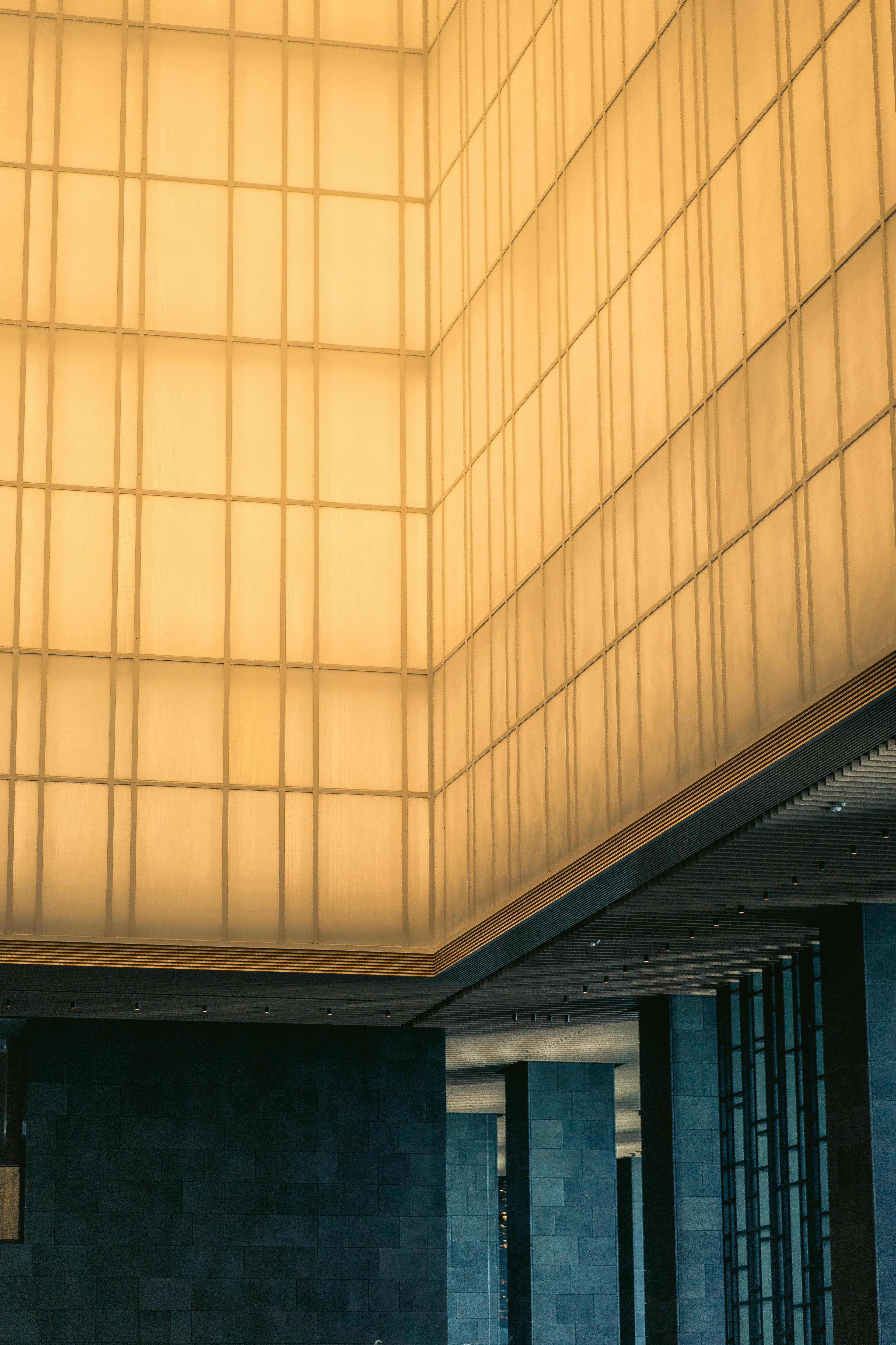 What "Luxury" Actually Means for Tokyo Private Tours