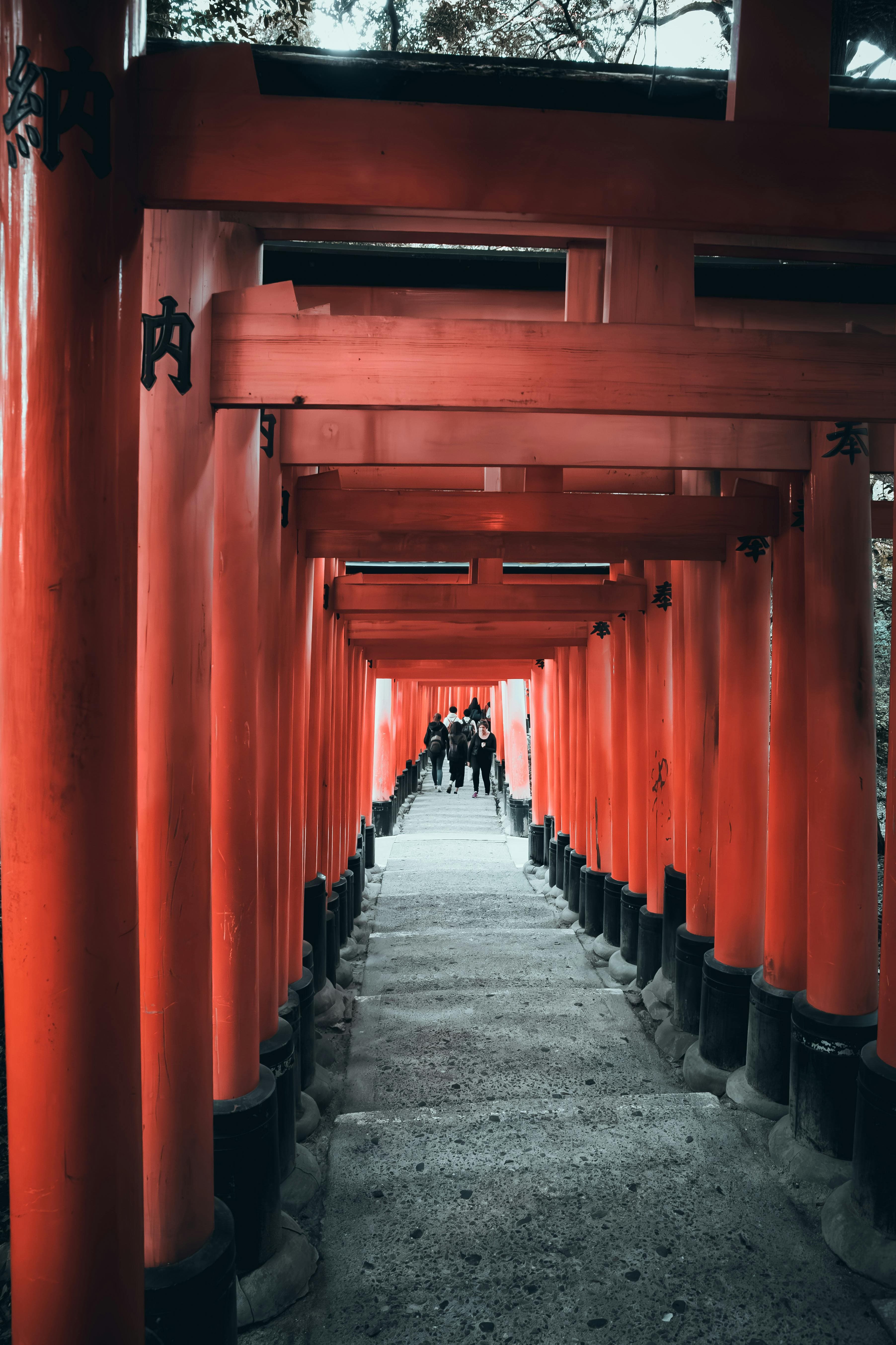Tokyo Private Tour Pricing — What to Expect and What's Included