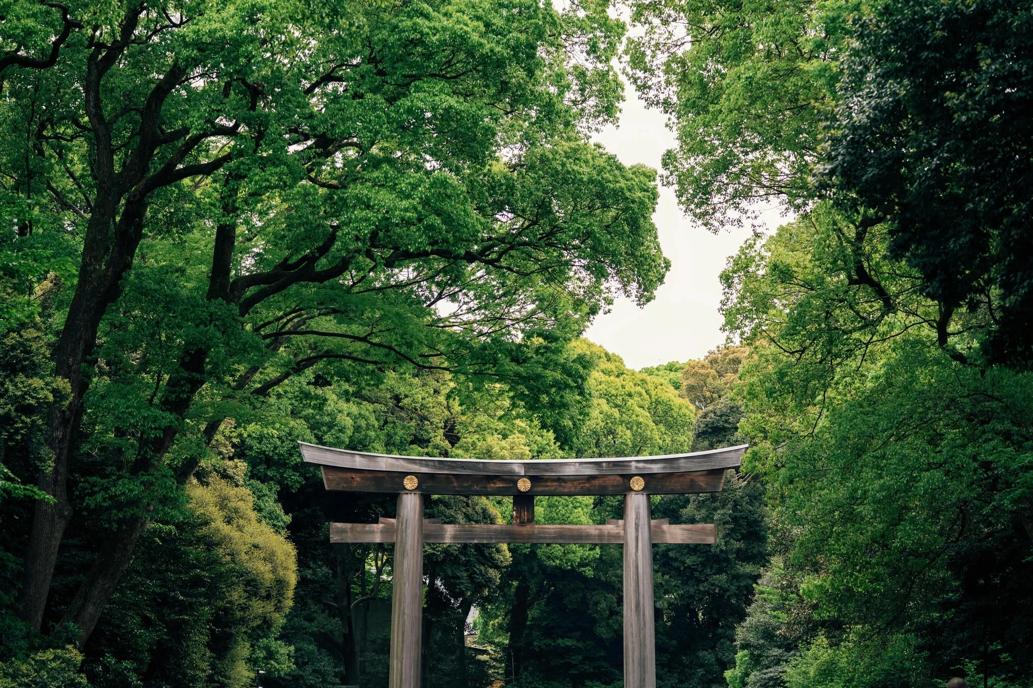 Meiji Shrine: When Context Changes Everything