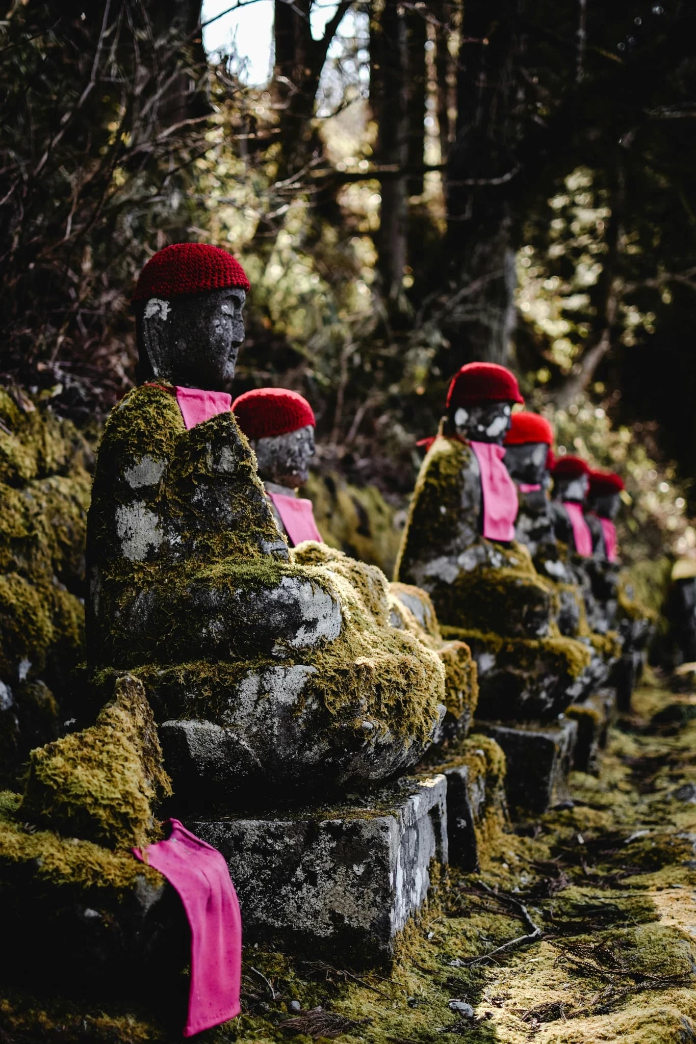 Nikko Day Trip from Tokyo: DIY vs Private Tour Guide