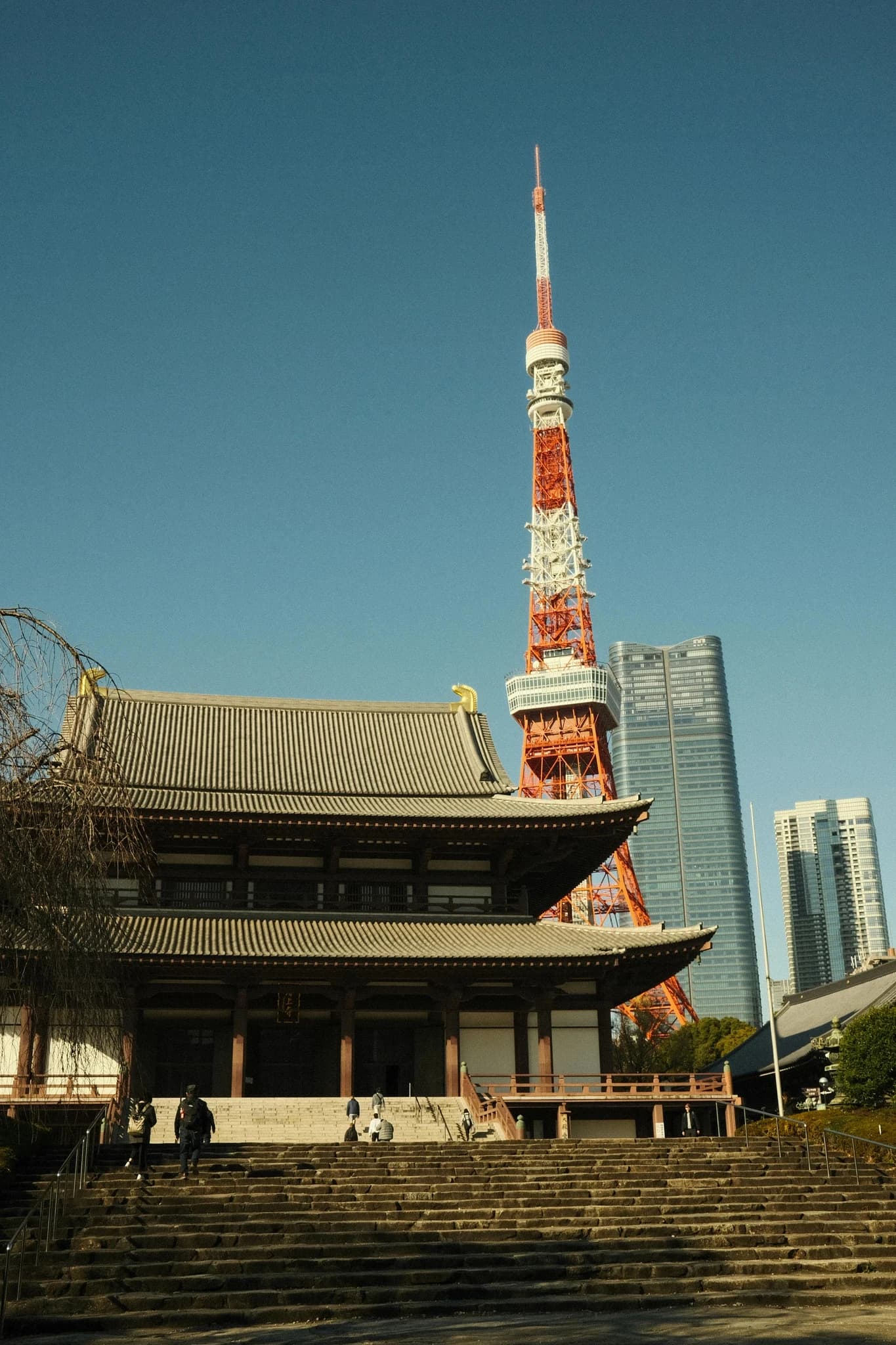 1-Day Tokyo Itinerary: How to Design a Day That Works